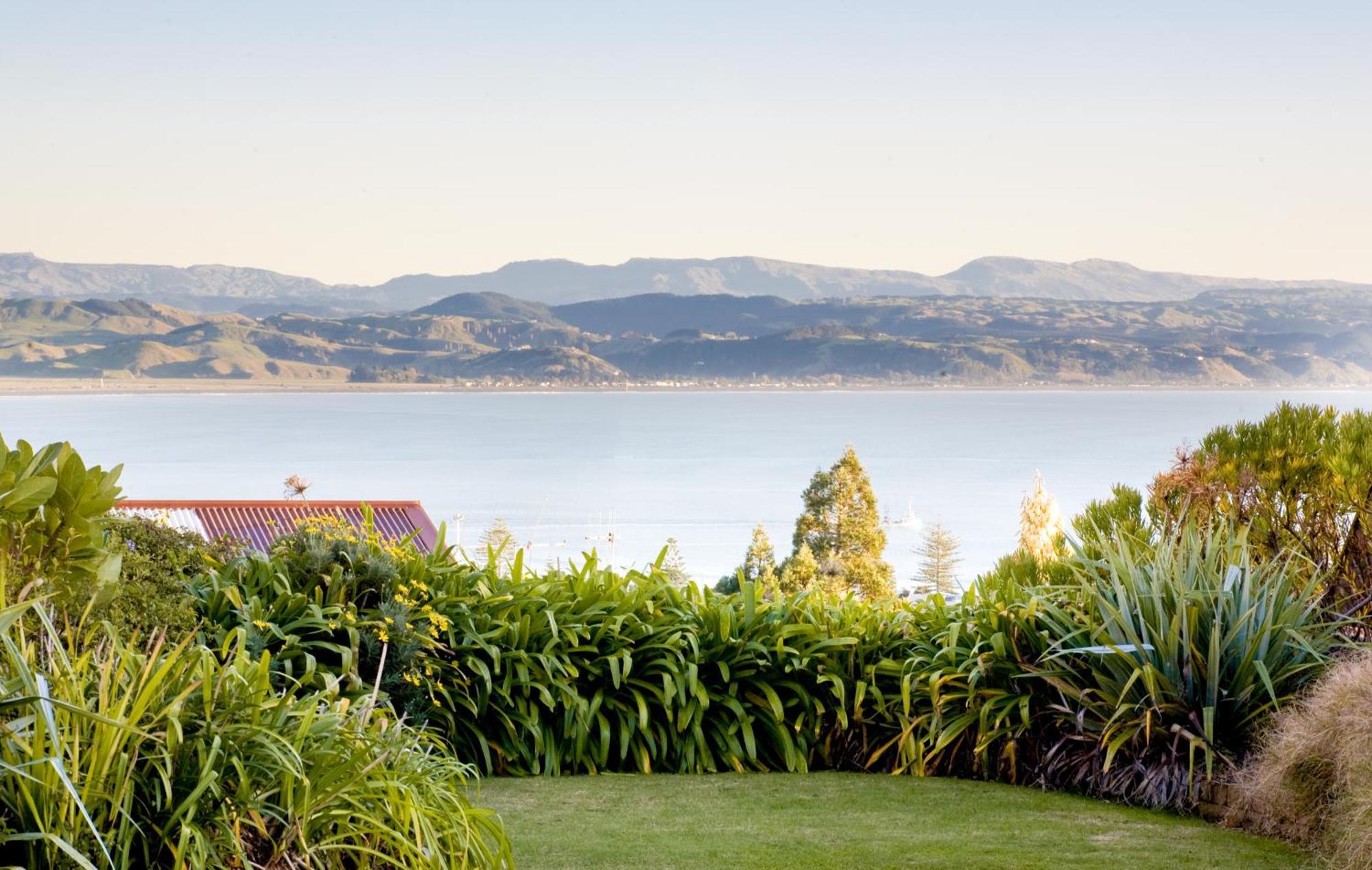 Mchardy Lodge Napier Esterno foto